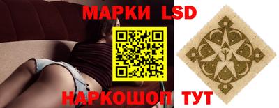 шишки Дубна