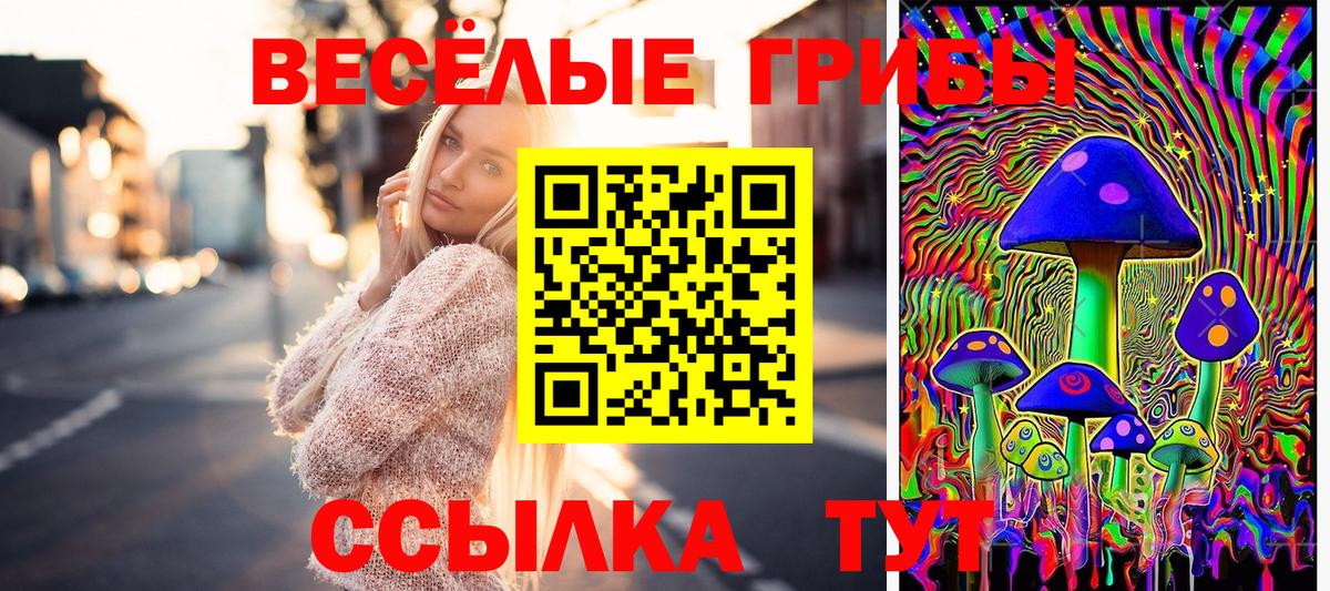 Псилоцибиновые грибы ЛСД Назарово